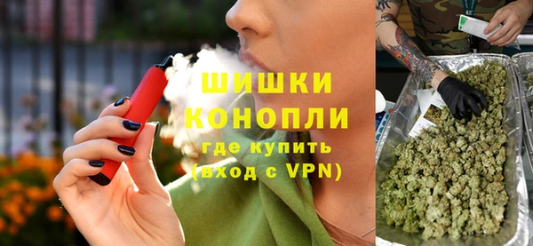 шишки Богородицк