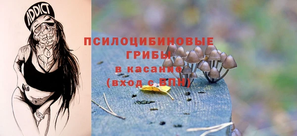 соль ск Белокуриха