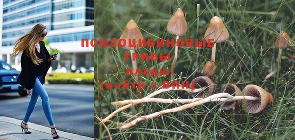 бутират Богданович