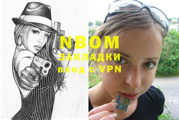 шишки Богородицк