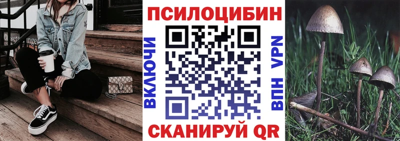 Галлюциногенные грибы Cubensis  Фролово 